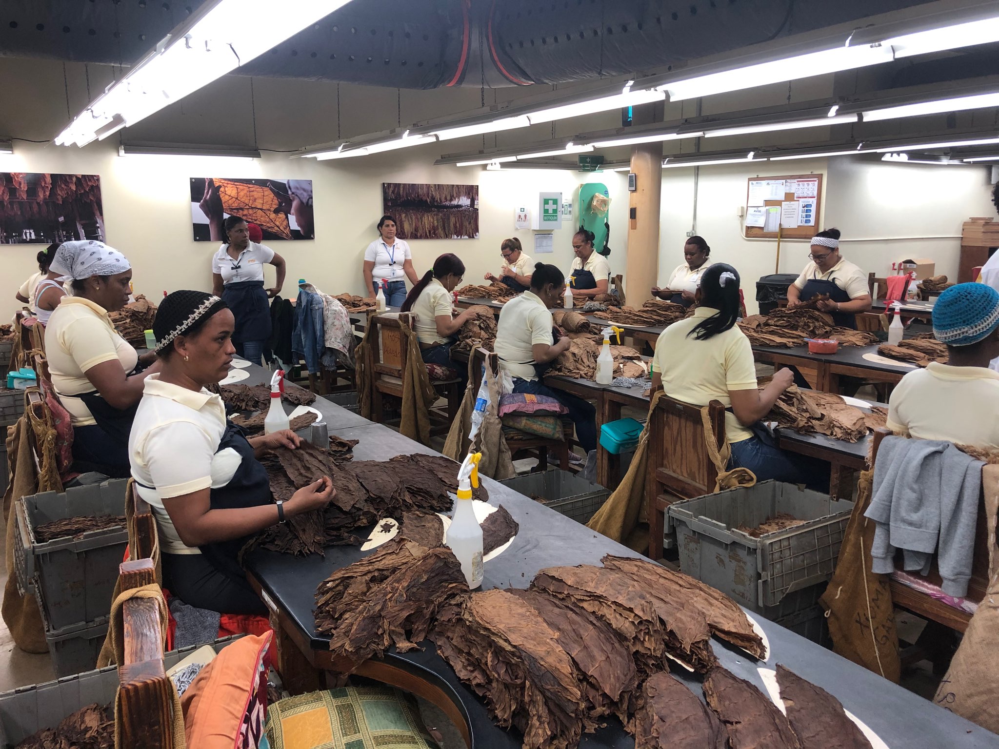 Georgina\'s trip to the Dominican Republic